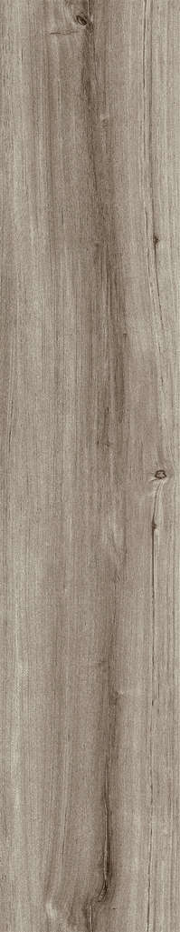 Ash Rustic 20x120 (200x1200)