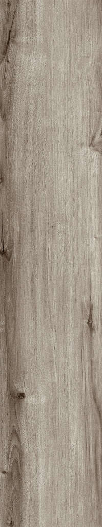 Ash Rustic 20x120 (200x1200)