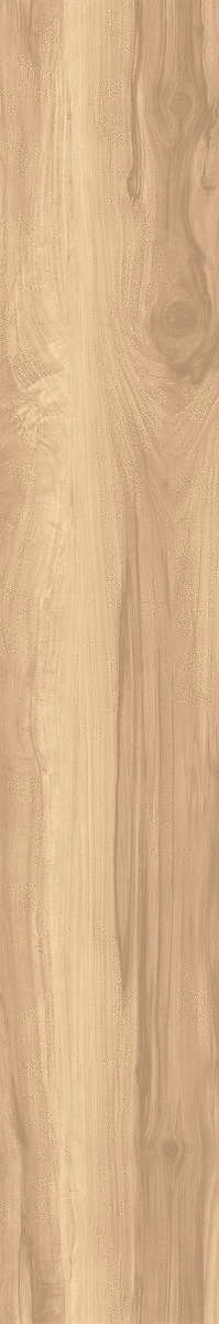 Brich Rustic 20x120 (200x1200)