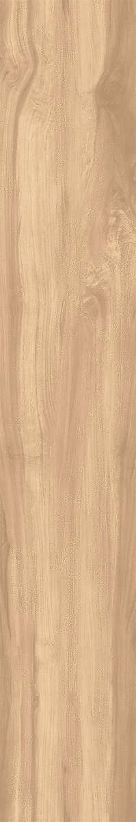 Brich Rustic 20x120 (200x1200)
