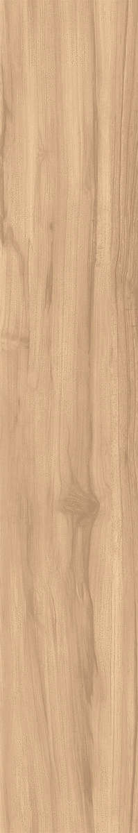 Brich Rustic 20x120 (200x1200)
