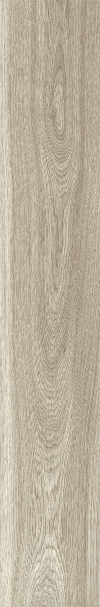 Ash Rustic 20x120 (200x1200)