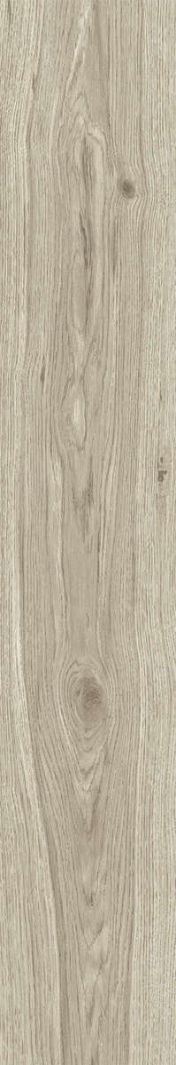 Ash Rustic 20x120 (200x1200)