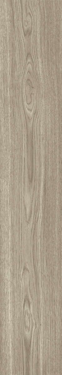 Ash Rustic 20x120 (200x1200)