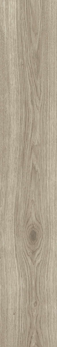 Ash Rustic 20x120 (200x1200)