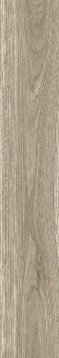 Ash Rustic 20x120 (200x1200)