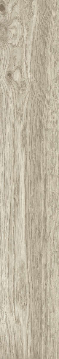 Ash Rustic 20x120 (200x1200)