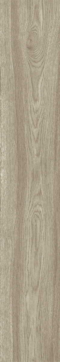 Ash Rustic 20x120 (200x1200)