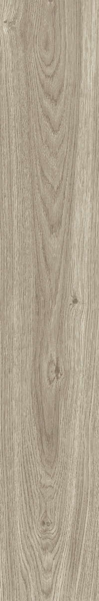 Ash Rustic 20x120 (200x1200)