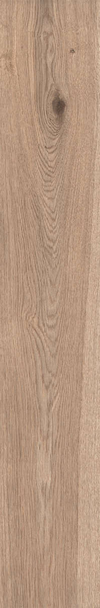 Natural Rustic 20x120 (200x1200)