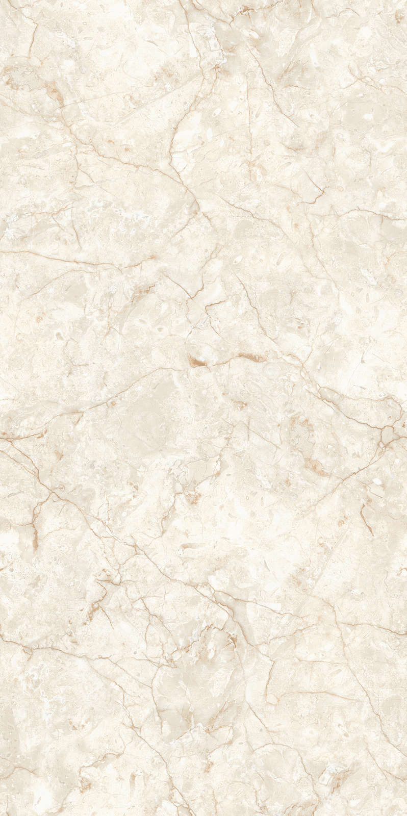 Beige Carving 80x160 (800x1600)