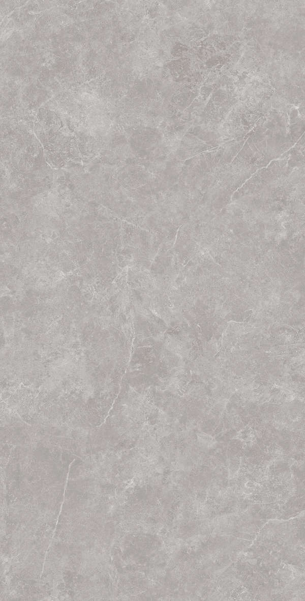 Gris Solido 60x120 (600x1200)