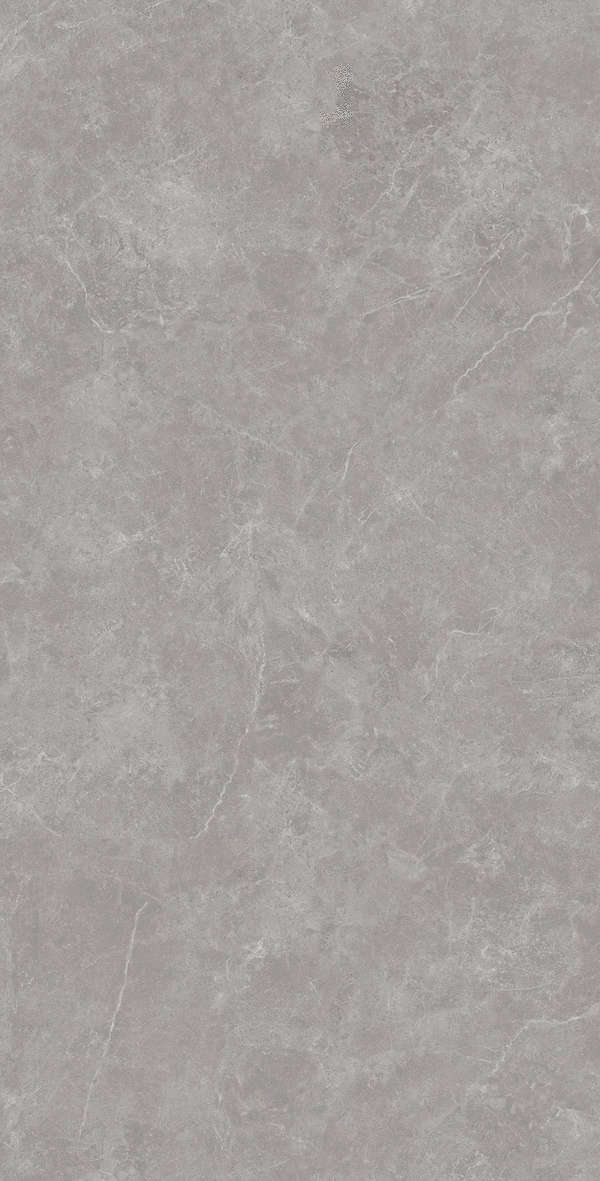 Gris Solido 60x120 (600x1200)