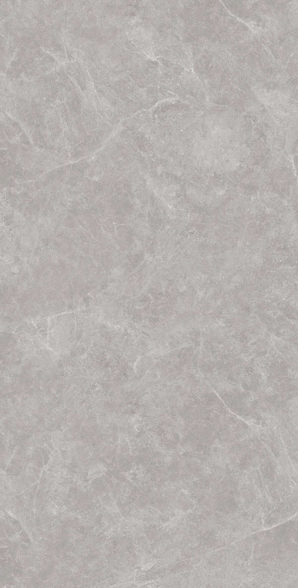 Gris Solido 60x120 (600x1200)