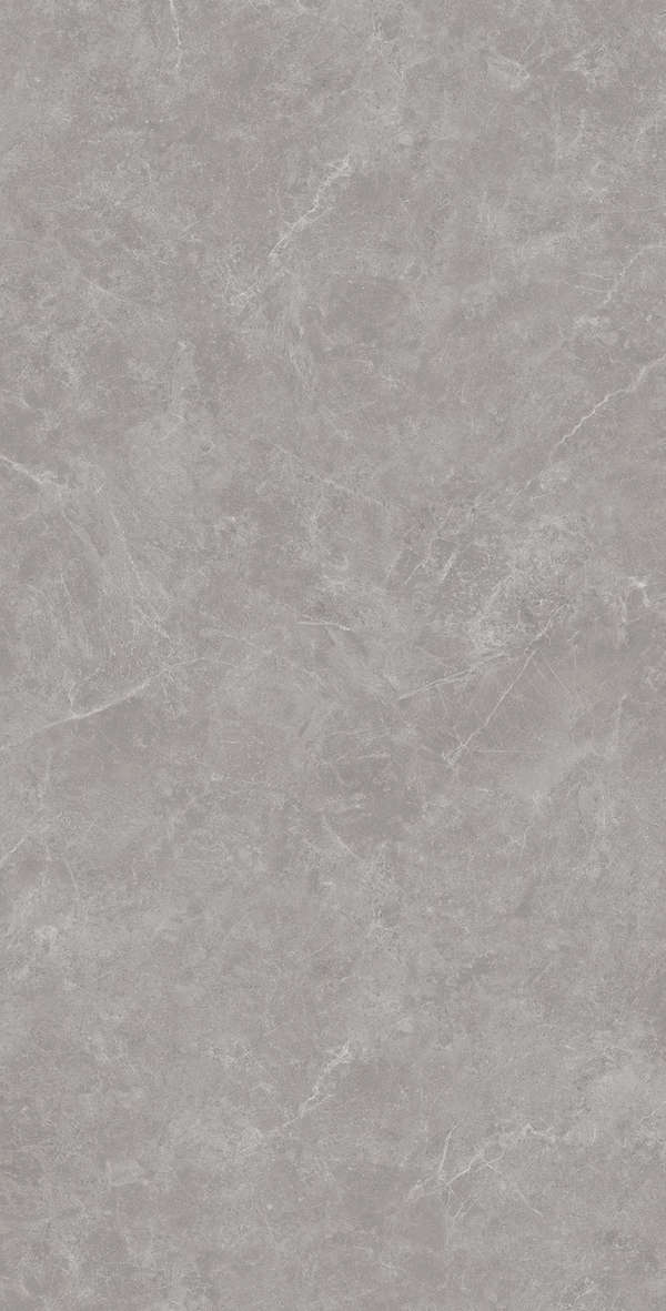 Gris Solido 60x120 (600x1200)