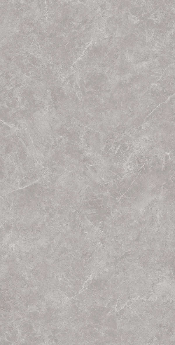 Gris Solido 60x120 (600x1200)