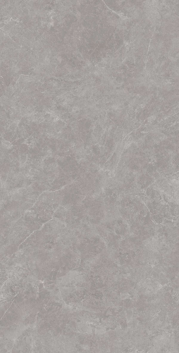 Gris Solido 60x120 (600x1200)