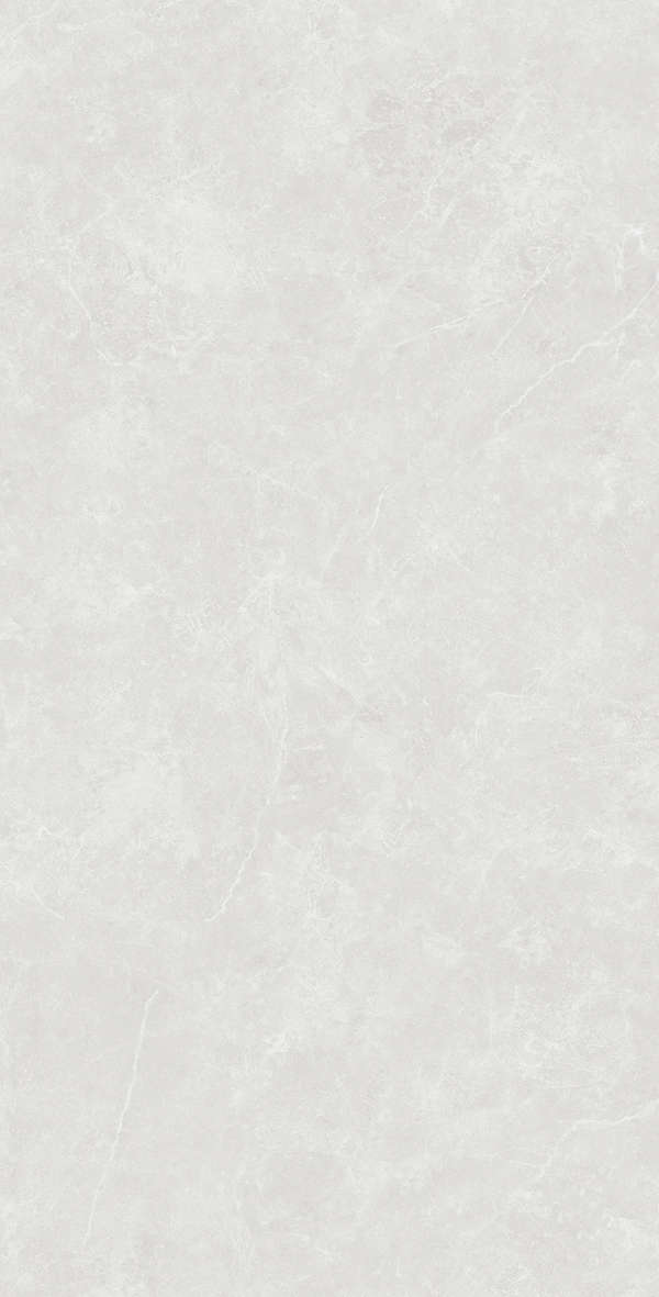 Silver Solido 60x120 (600x1200)