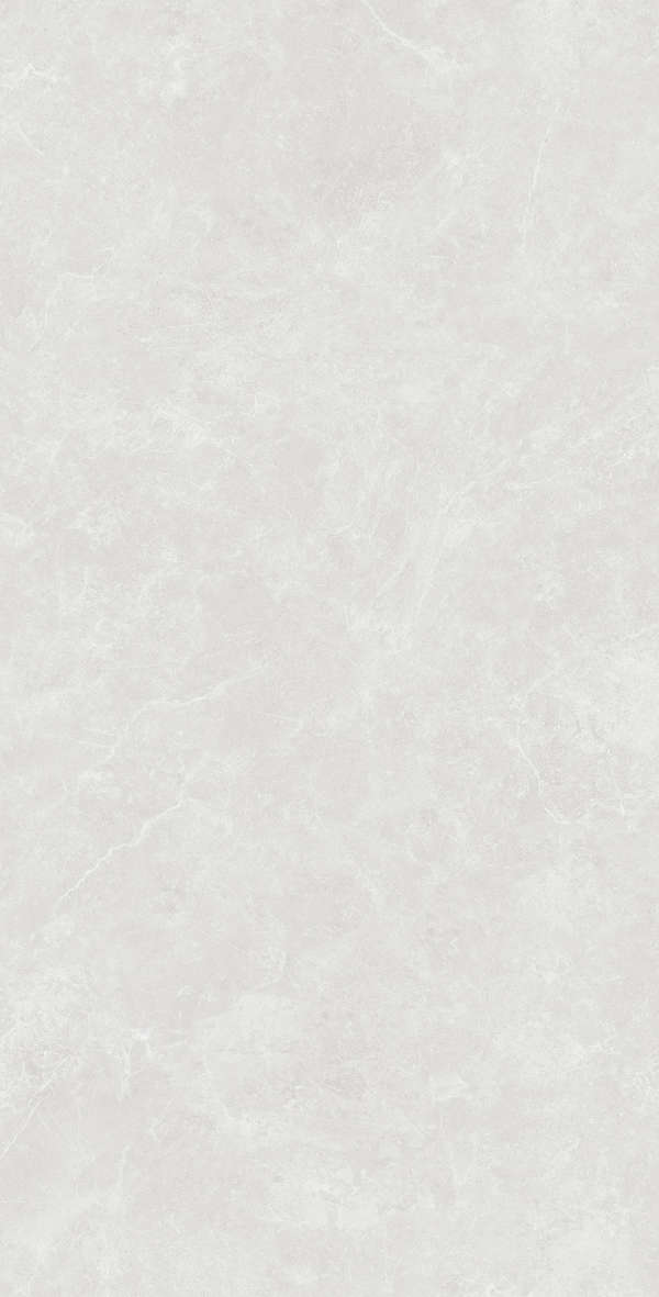Silver Solido 60x120 (600x1200)