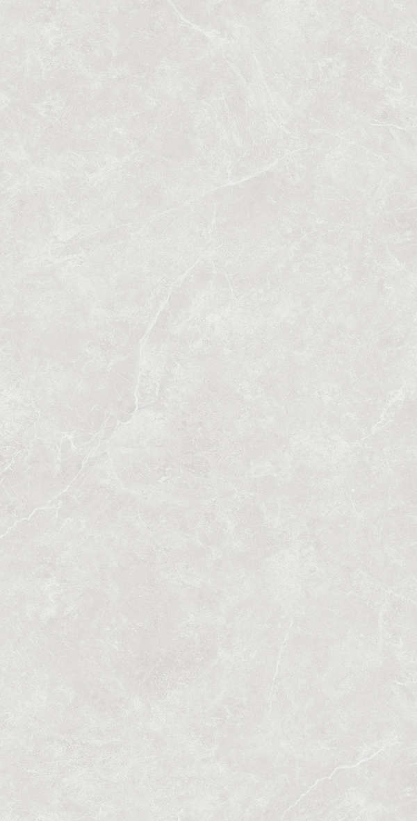 Silver Solido 60x120 (600x1200)