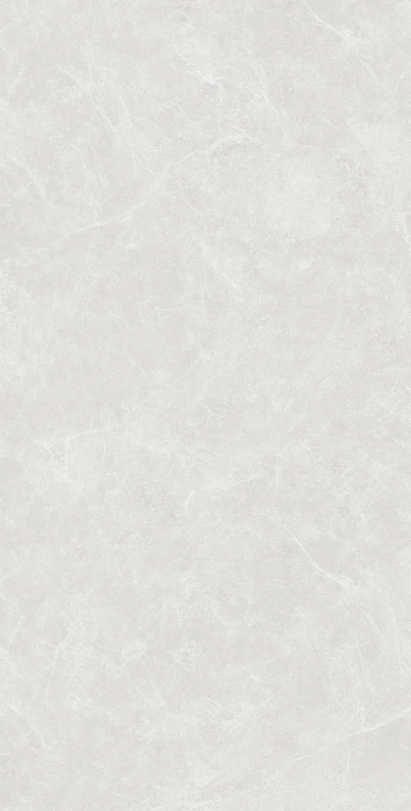 Silver Solido 60x120 (600x1200)