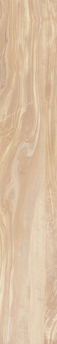 Ivory Carving 20x120 (200x1200)