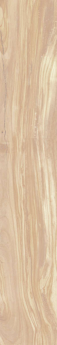 Ivory Carving 20x120 (200x1200)