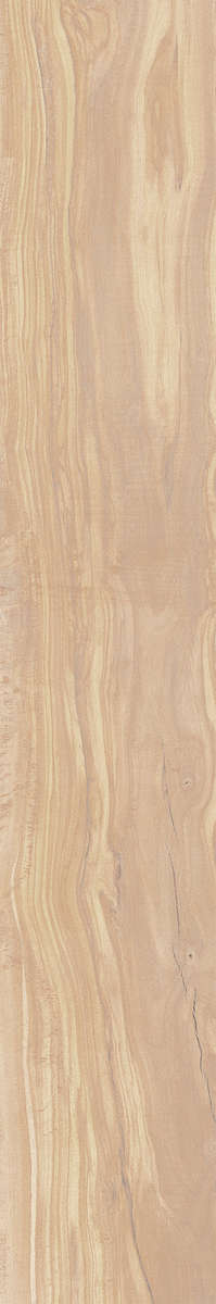 Ivory Carving 20x120 (200x1200)