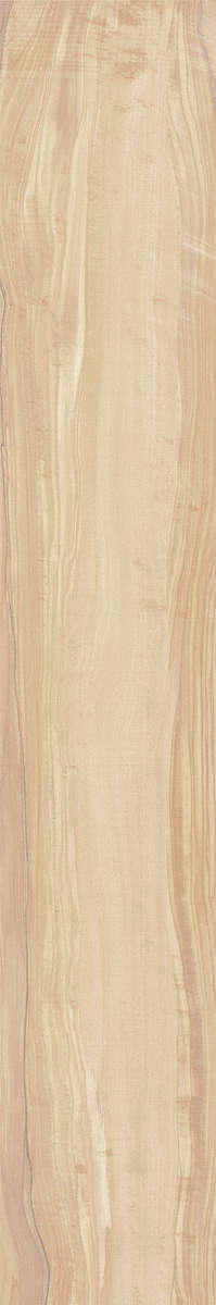 Ivory Carving 20x120 (200x1200)