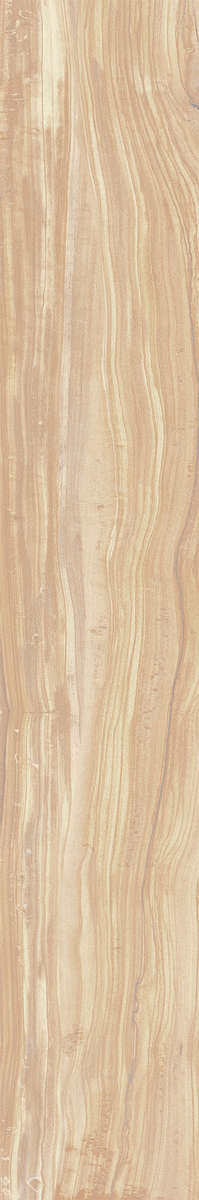 Ivory Carving 20x120 (200x1200)