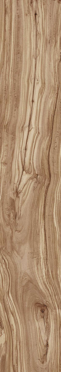 Natural Carving 20x120 (200x1200)