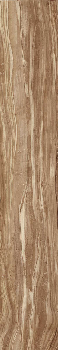 Natural Carving 20x120 (200x1200)