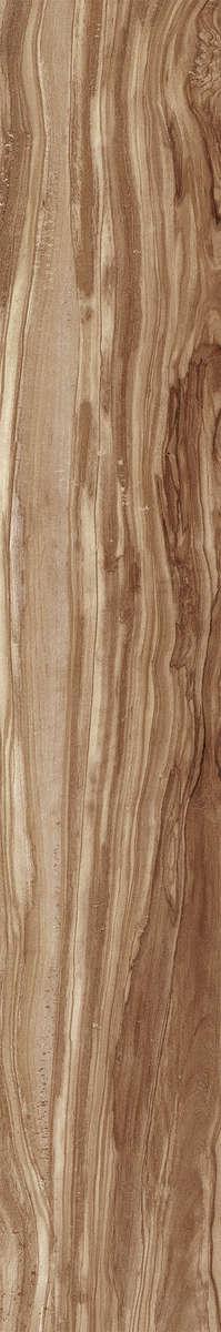Natural Carving 20x120 (200x1200)