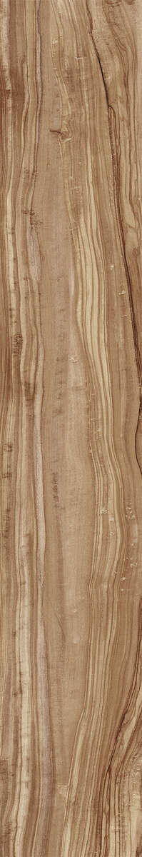 Natural Carving 20x120 (200x1200)