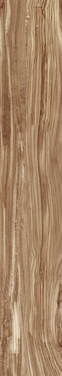 Natural Carving 20x120 (200x1200)