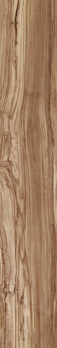 Natural Carving 20x120 (200x1200)
