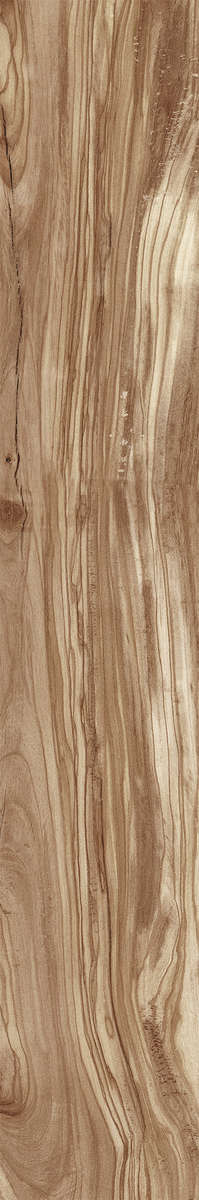 Natural Carving 20x120 (200x1200)