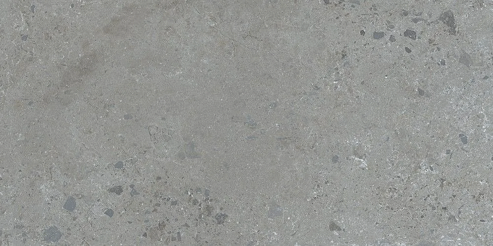 Grey 60x120 (1200x600)