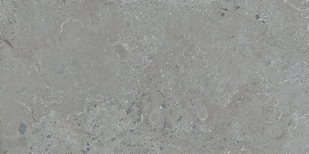 Grey 60x120 (1200x600)