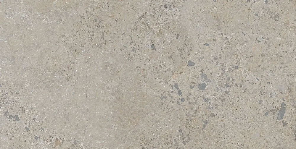 Taupe 60x120 (1200x600)