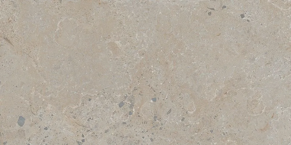 Taupe 60x120 (1200x600)