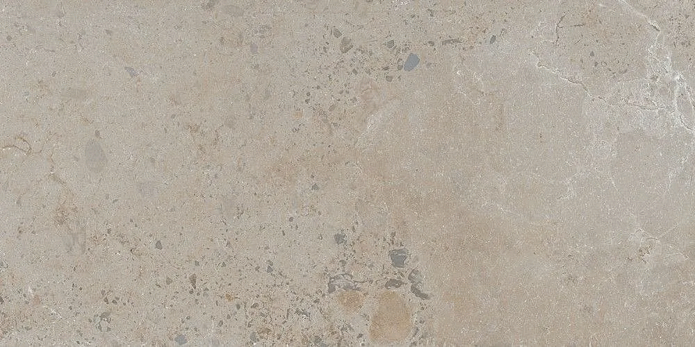Taupe 60x120 (1200x600)