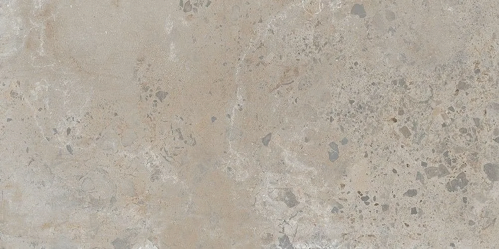 Taupe 60x120 (1200x600)