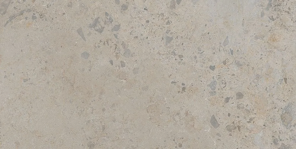 Taupe 60x120 (1200x600)