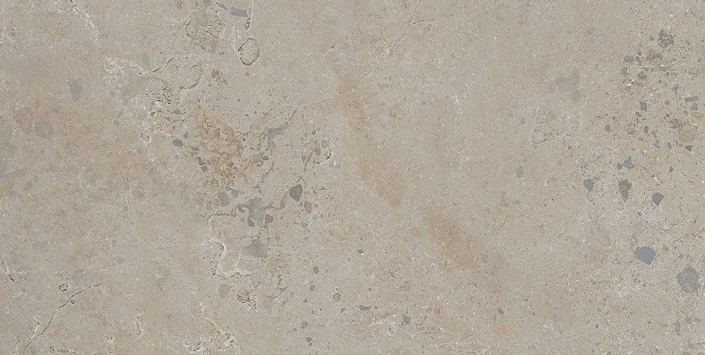 Taupe 60x120 (1200x600)