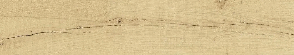 Naturale 22x120 (1200x220)