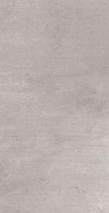 Light Grey 60x120 (600x1200)