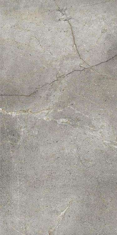 Silver 60x120 (600x1200)