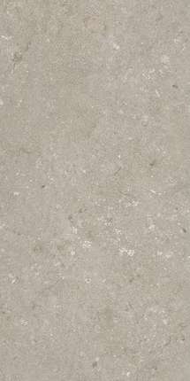 Дадо Керамика Shellstone Taupe 60x120