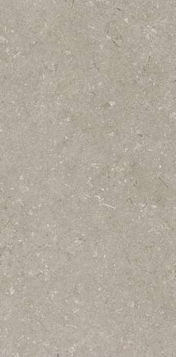 Taupe 60x120 (600x1200)